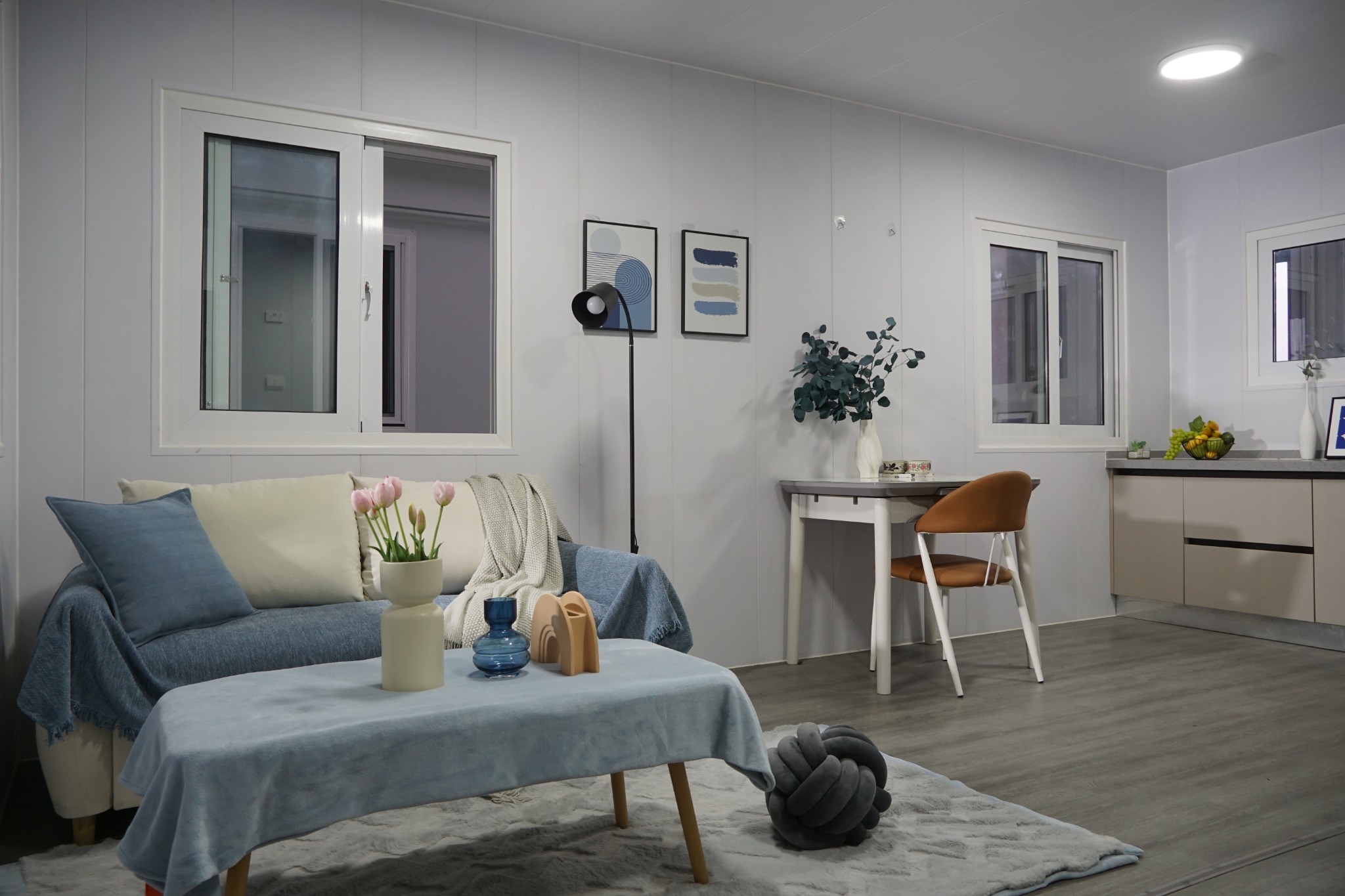 Living Room 1